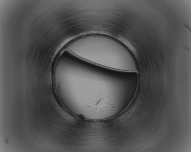 X0000093360934200710111306