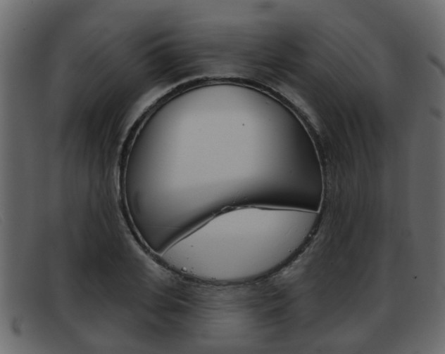 X0000093360935200710111306