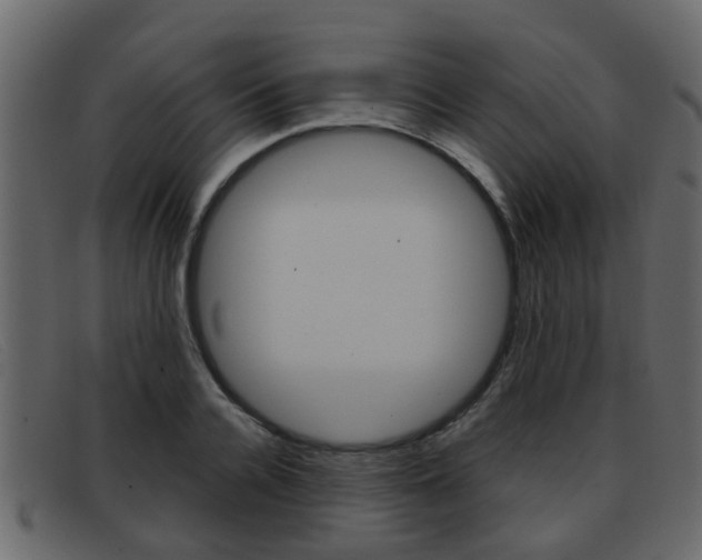 X0000093360936200710111306