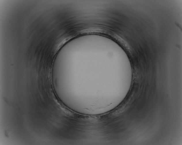 X0000093360937200710111306