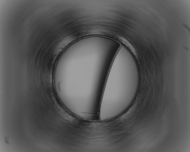 X0000093360938200710111306