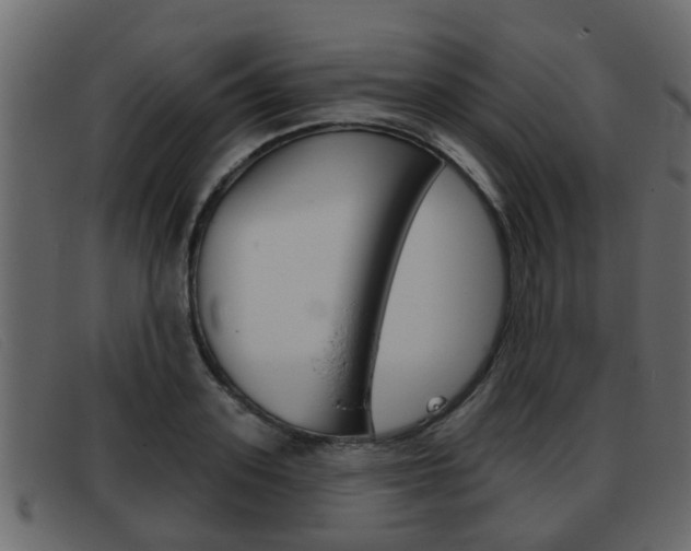 X0000093360939200710111306