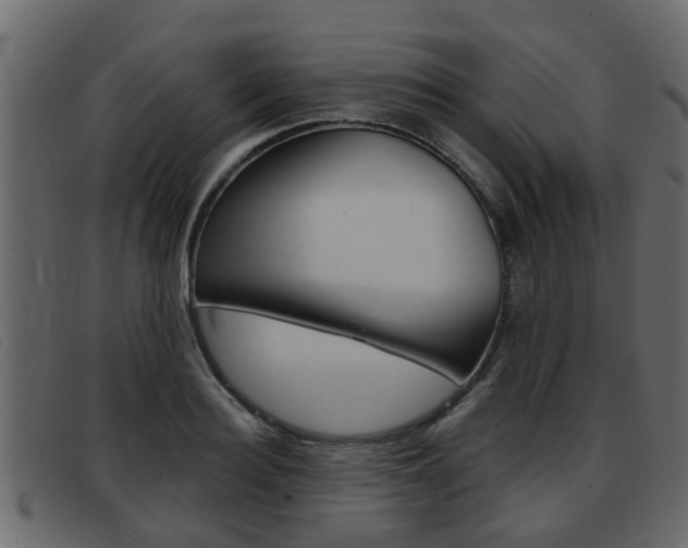 X0000093360940200710111306