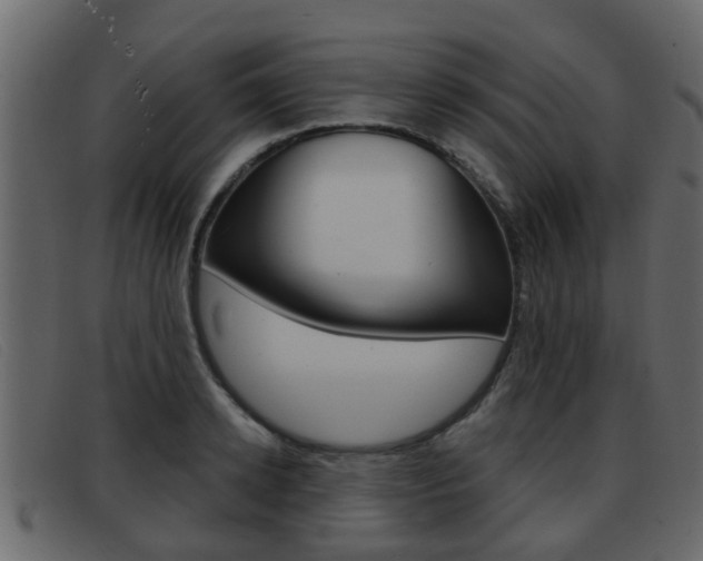 X0000093360942200710111306