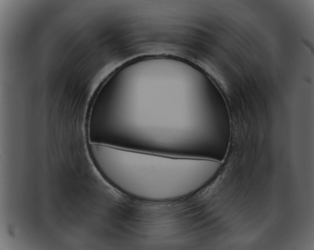 X0000093360943200710111306