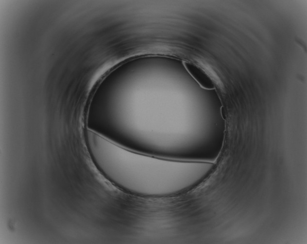 X0000093360944200710111306