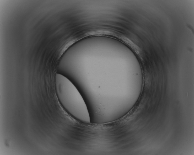 X0000093360945200710111306