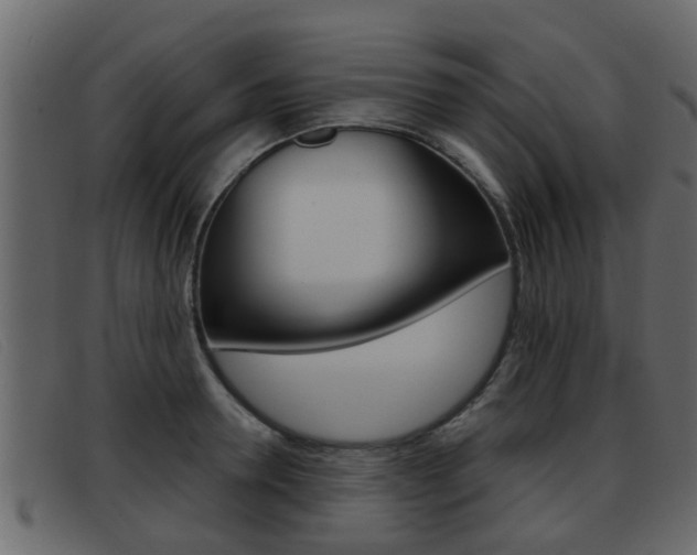 X0000093360946200710111306