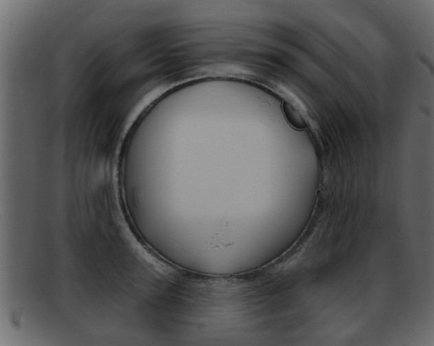 X0000093360947200710111306