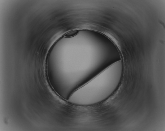 X0000093360949200710111306