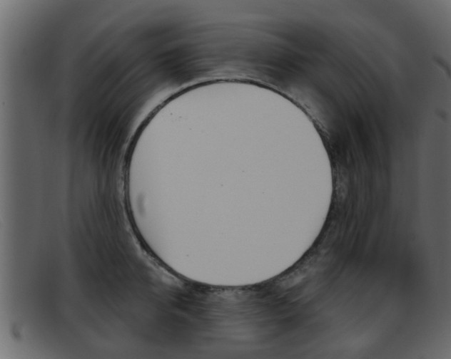 X0000093360950200710111306