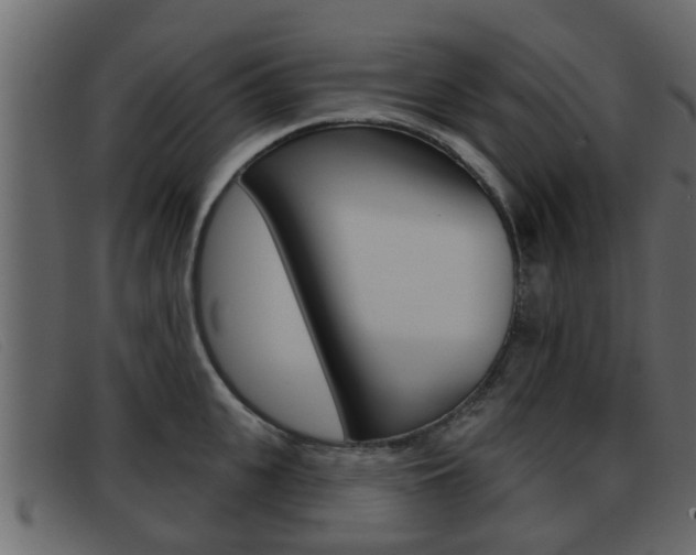 X0000093360951200710111306