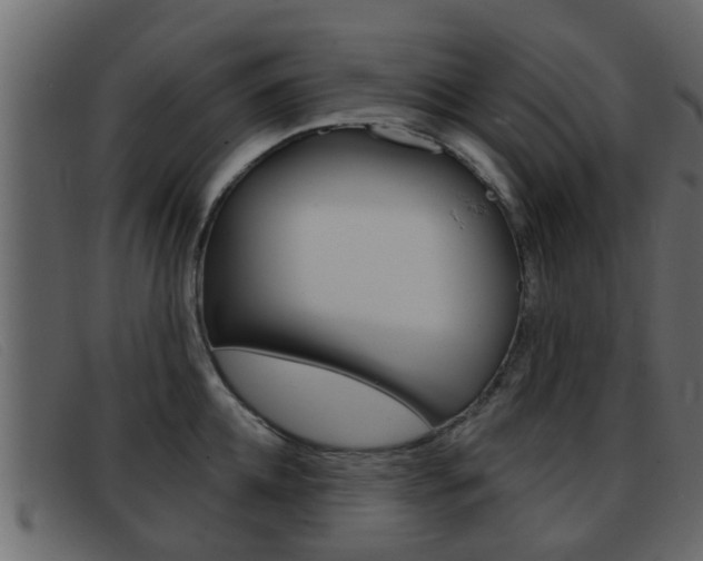 X0000093360952200710111306