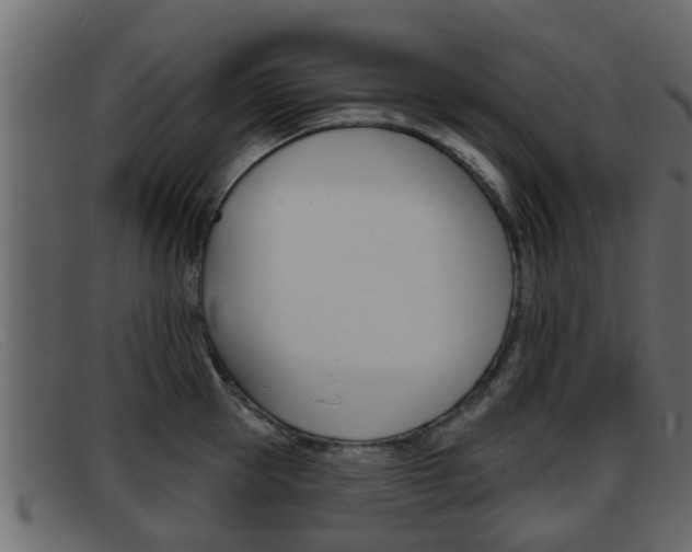 X0000093360953200710111306