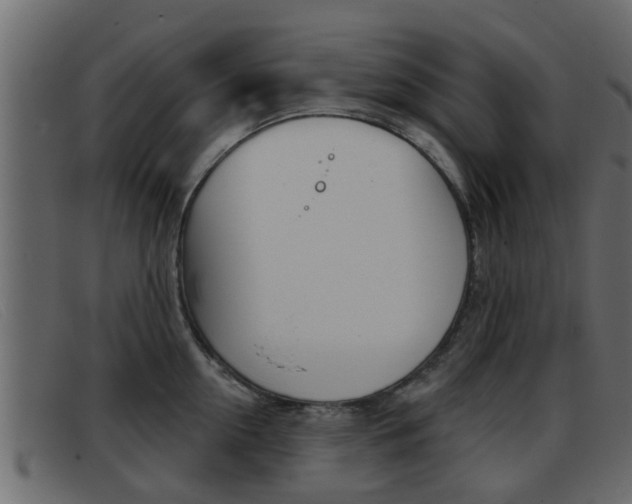 X0000093360954200710111306