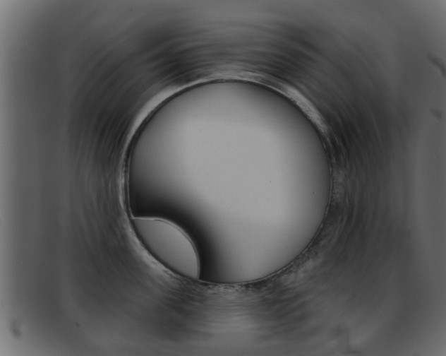 X0000093360955200710111306