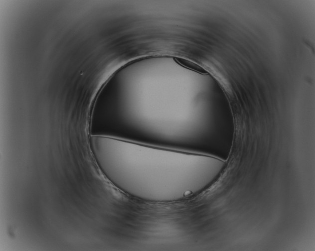 X0000093360956200710111306