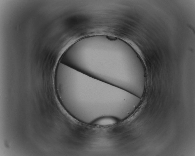 X0000093360957200710111306
