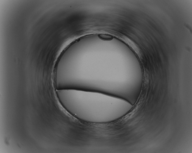 X0000093360958200710111306