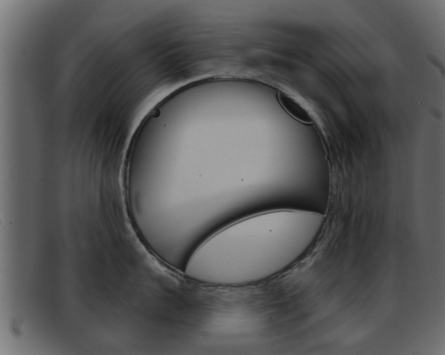 X0000093360959200710111306