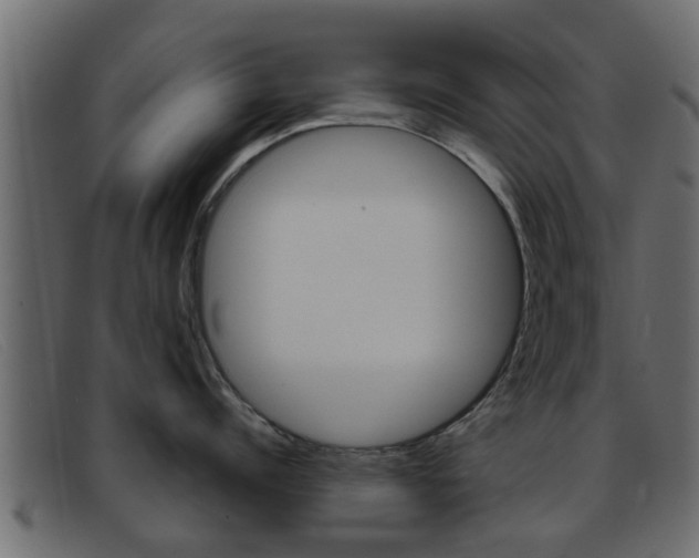 X0000093360960200710111306
