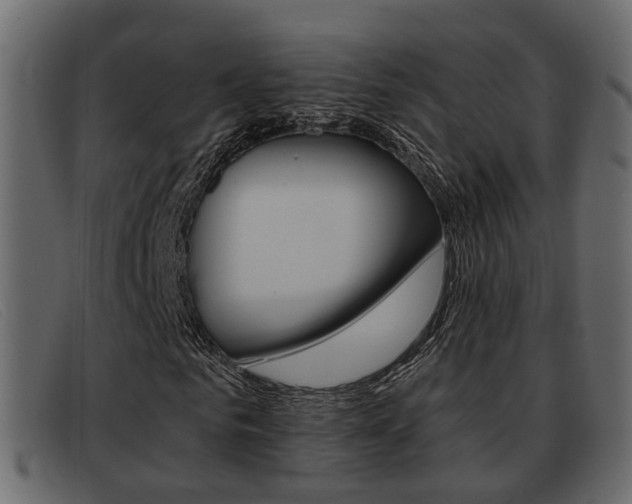 X0000093360961200710111305