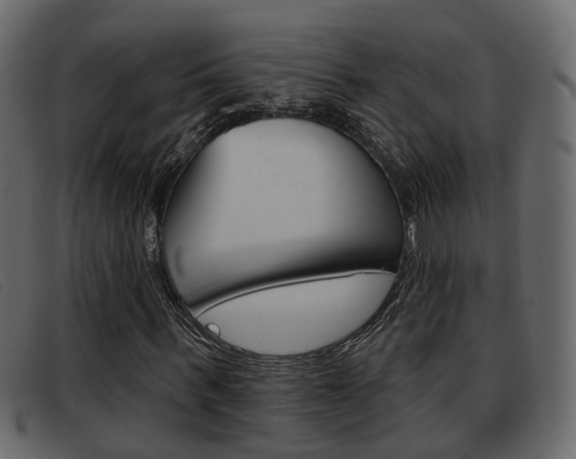 X0000093360963200710111305