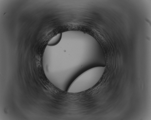 X0000093360964200710111305