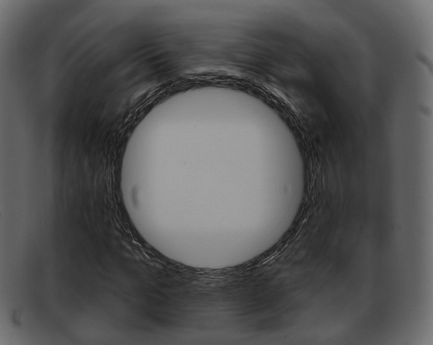 X0000093360965200710111305