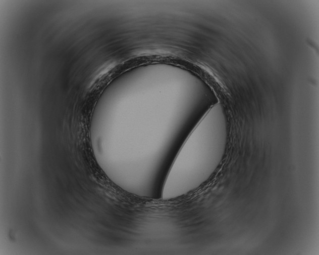 X0000093360967200710111305