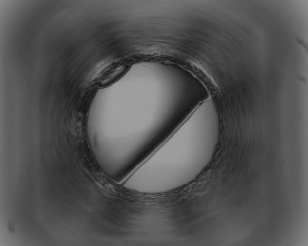 X0000093360968200710111305