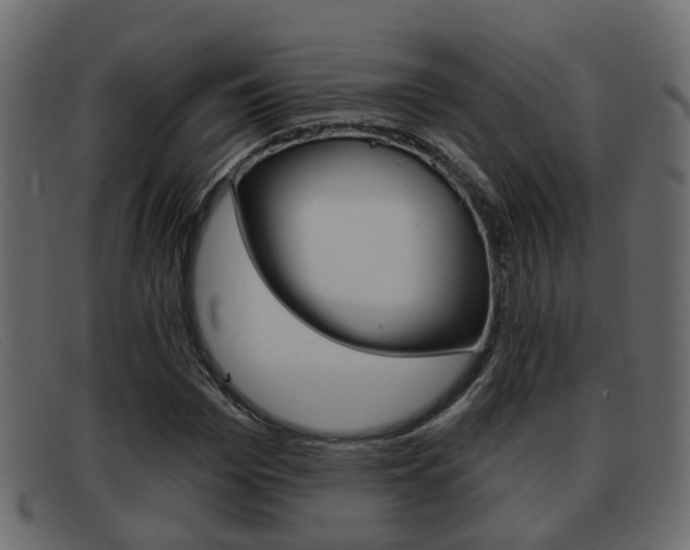 X0000093360969200710111305