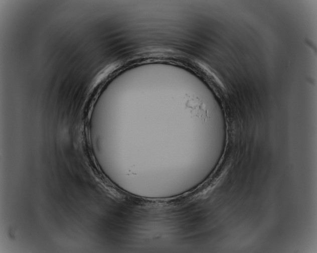 X0000093360970200710111305