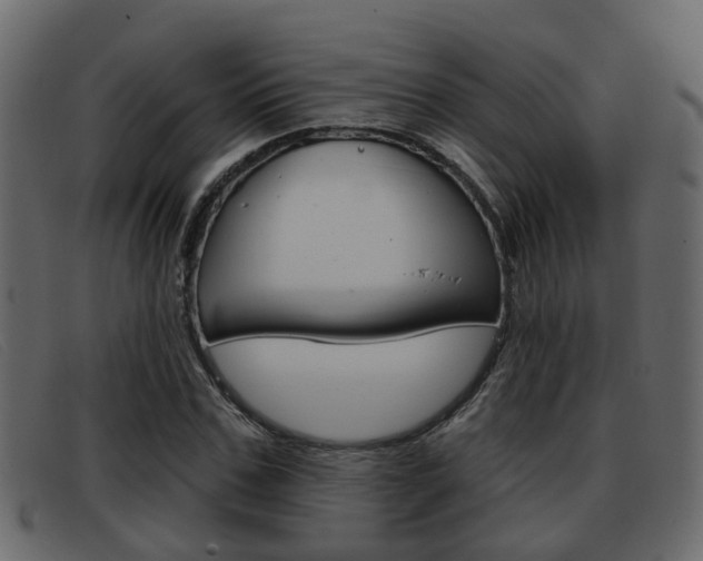 X0000093360971200710111305