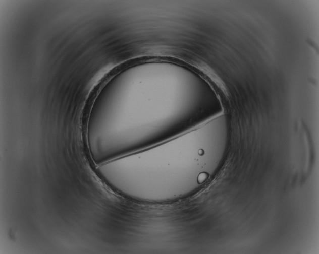X0000093360972200710111305