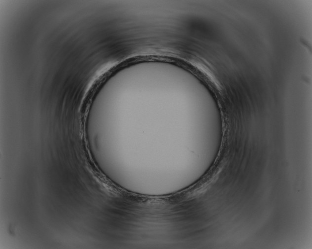 X0000093360974200710111305