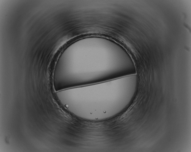 X0000093360975200710111305