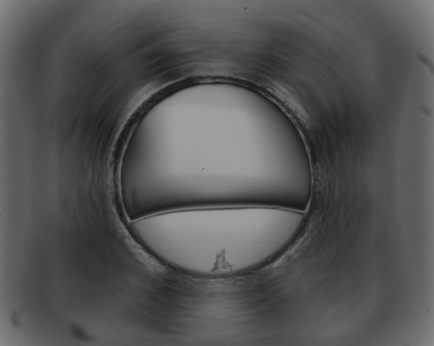 X0000093360976200710111305