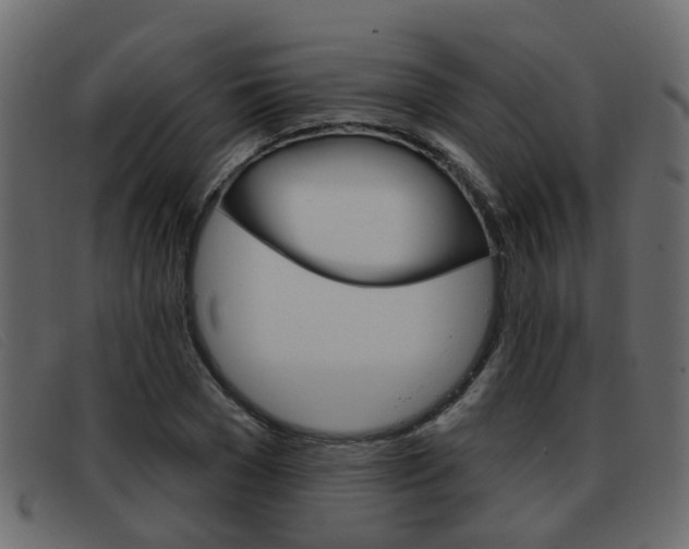 X0000093360977200710111305