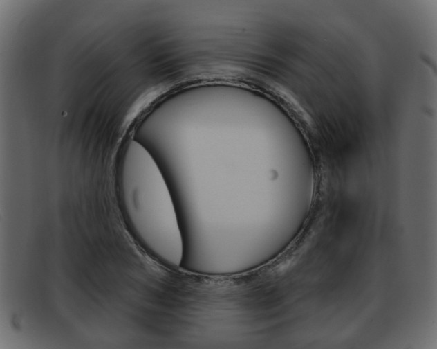 X0000093360978200710111305