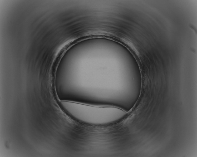 X0000093360979200710111305