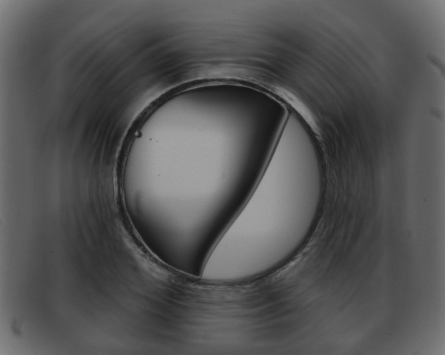 X0000093360980200710111305