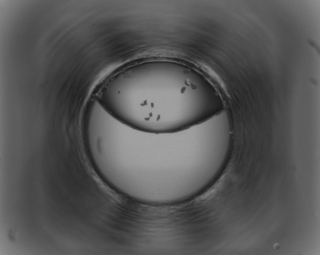 X0000093360981200710111305