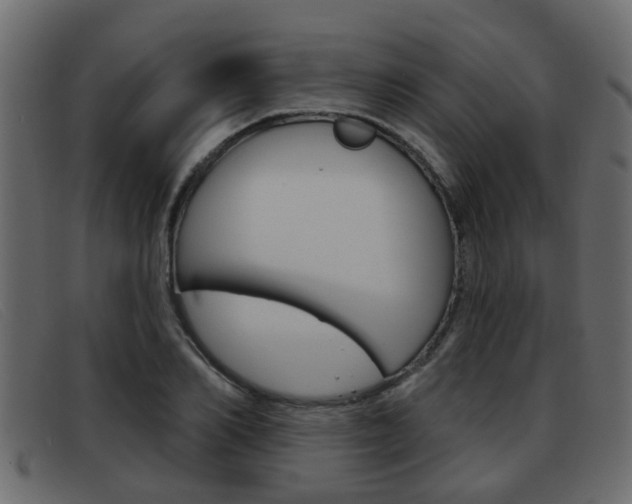 X0000093360982200710111305