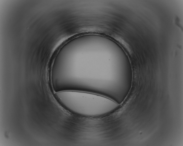 X0000093360983200710111305