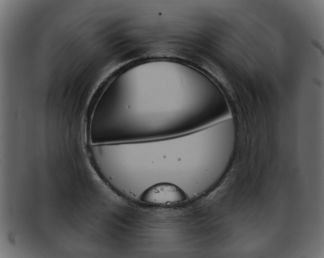 X0000093360984200710111305