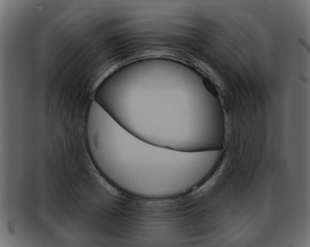X0000093360985200710111305