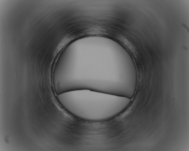 X0000093360986200710111305