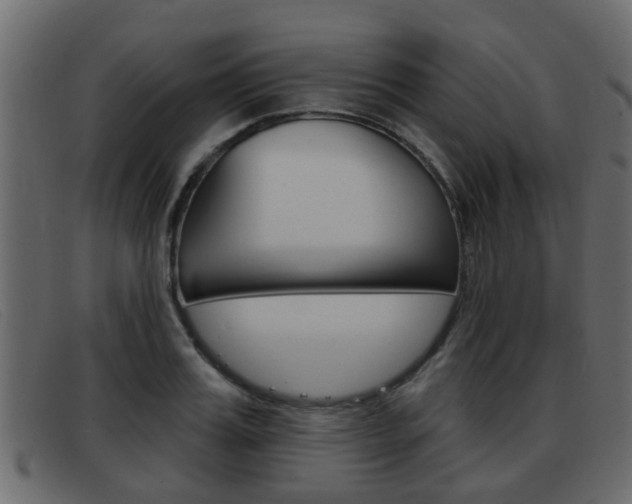 X0000093360987200710111305