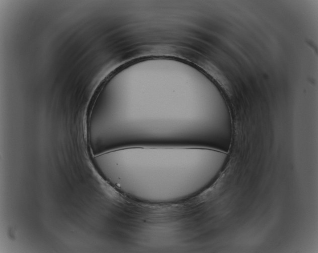 X0000093360988200710111305